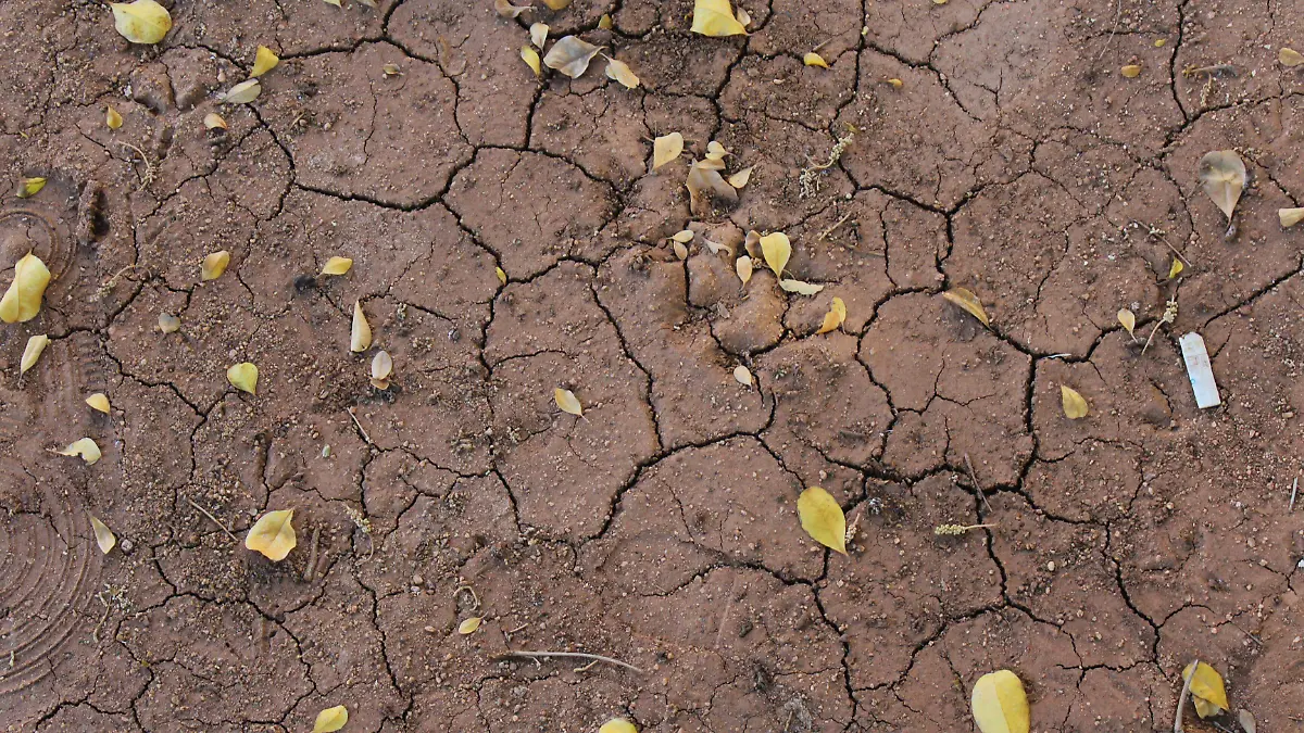 Tierra agrietada cambio climatico - Mike Acosta (1)